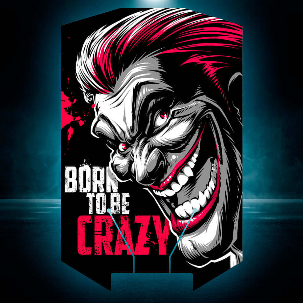 HBX 16889 / HBX 16889A PRO "BORN TO BE CRAZY" chassis protector skin - BASHER SKINZ